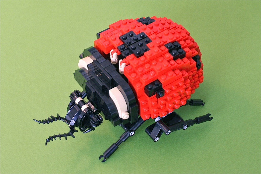 17ladybug3.jpg