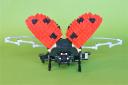 20ladybug3.jpg