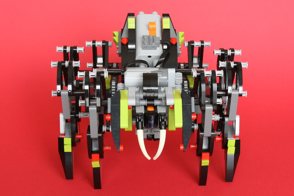 10spider1.jpg