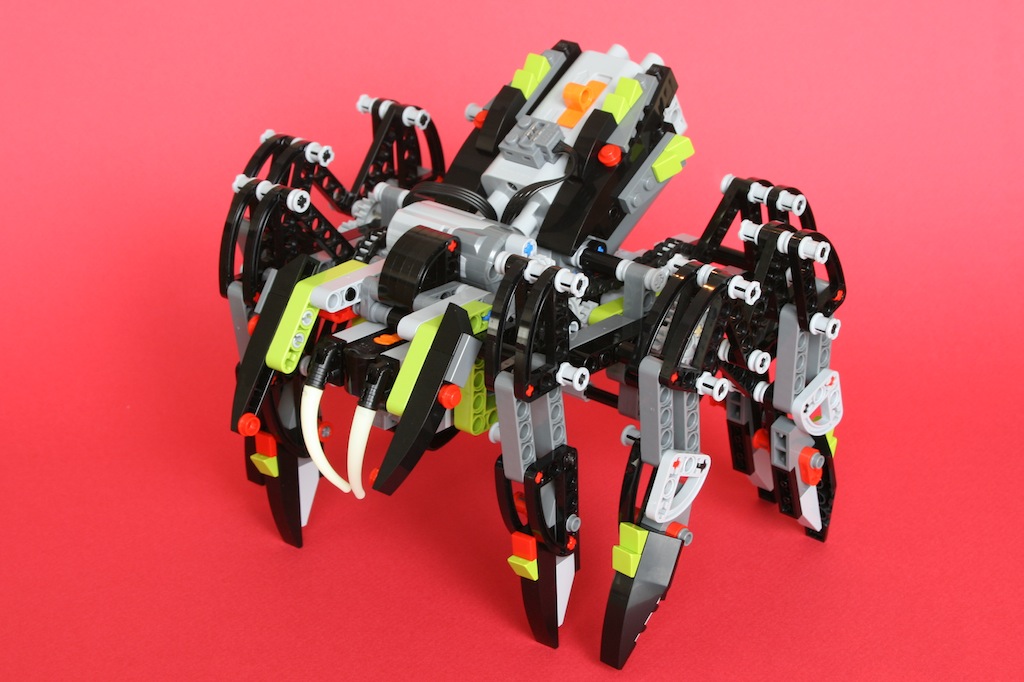 11spider1.jpg