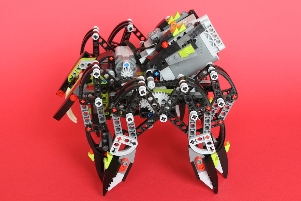 12spider1.jpg