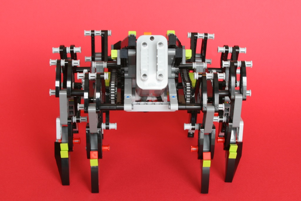 14spider1.jpg
