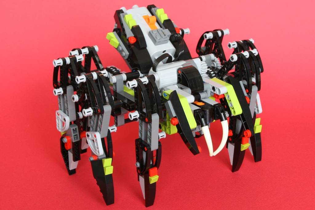17spider1.jpg