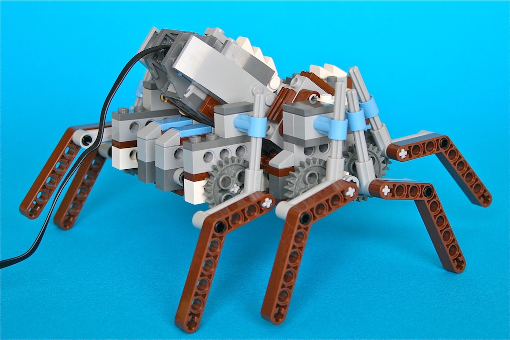 14spider3.jpg
