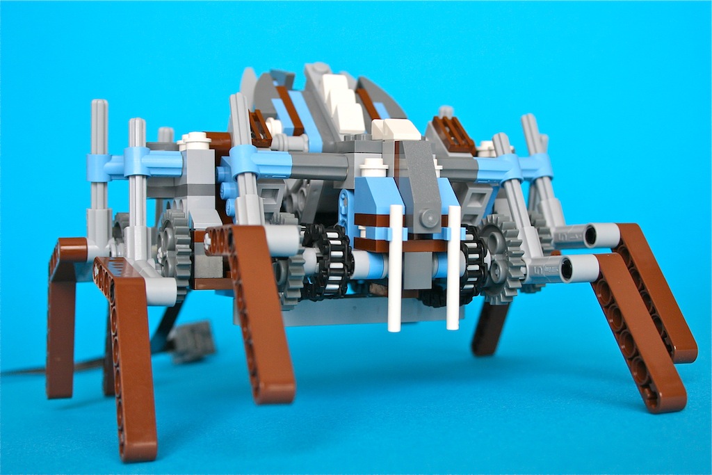 19spider3.jpg
