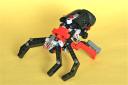 02spider8066.jpg