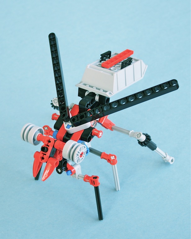 05wasp8065.jpg