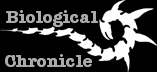 bionicle_logo.jpg