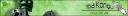 kongubanner2.jpg