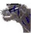avatarfinalcoolversion.jpg