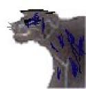 avatartrialfinalv1.jpg