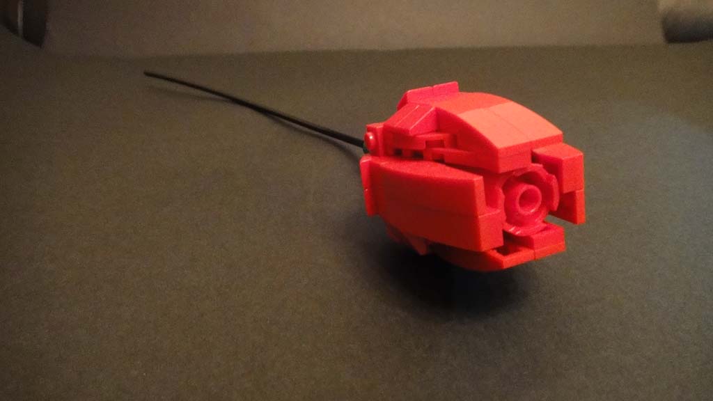 dsc04212.jpg