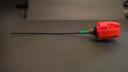 dsc04213.jpg