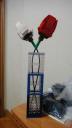 dsc04219.jpg
