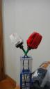 dsc04220.jpg