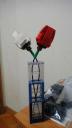 dsc04221.jpg
