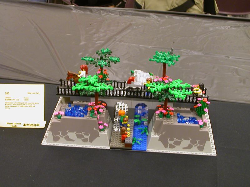 147.jpg