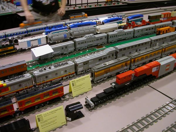 205.jpg