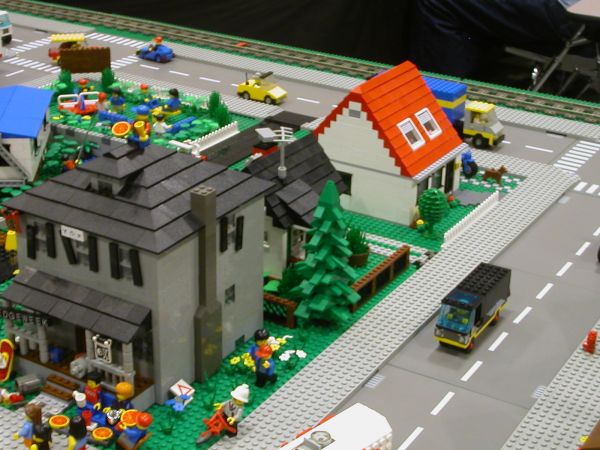 243.jpg