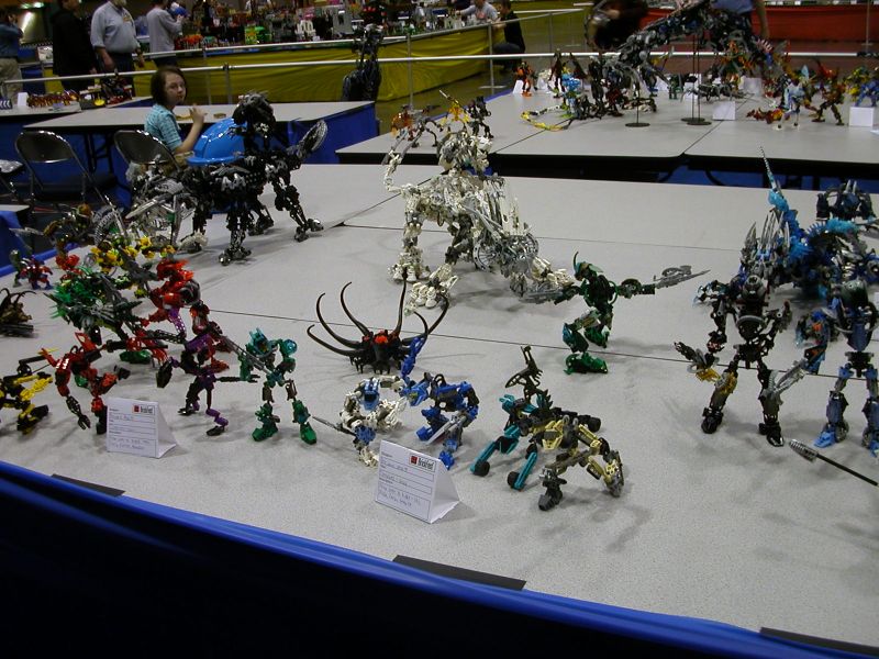 161.jpg