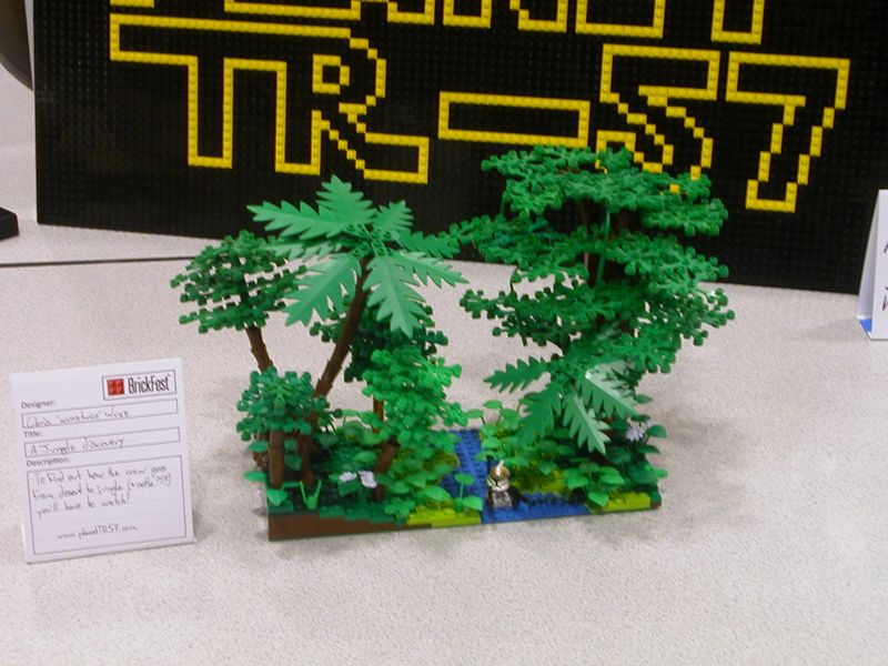 166.jpg