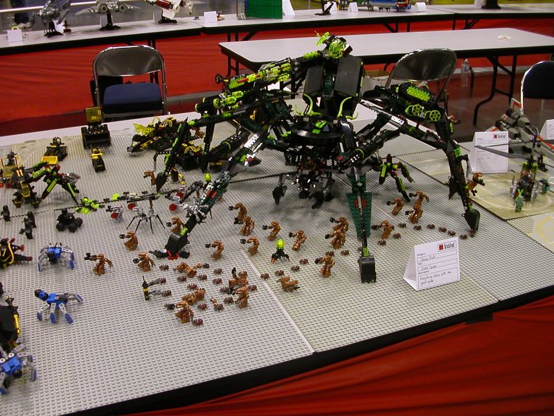 178.jpg