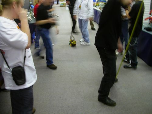 pic24.jpg