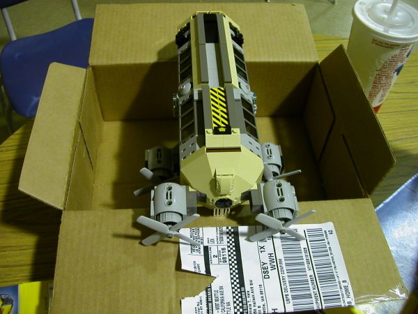 pic12.jpg