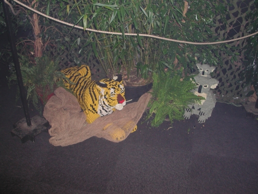 normal_dscn6497.jpg