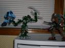 dsc00584.jpg