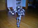 dsc00126.jpg