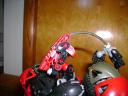 dsc00153.jpg