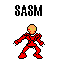 sasm.bmp