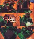 Tree-hut