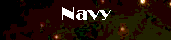 navy.gif