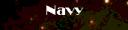 navy.gif