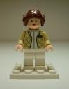 6212_fig_leia.jpg