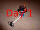 day1