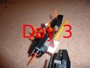 day3