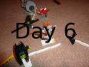 day6
