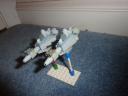 p1000696.jpg