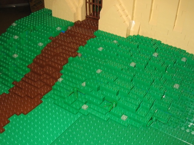 24.jpg