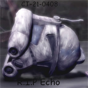 echo.jpg