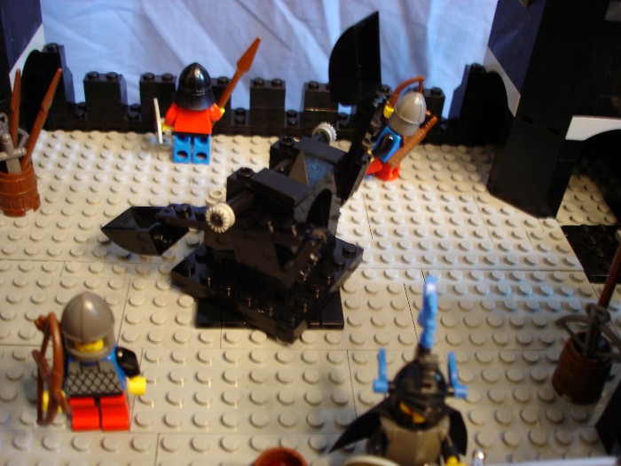 14workingcatapultonroof.jpg