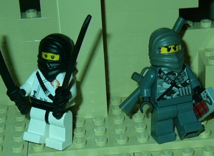 z_cobras_assasins.jpg