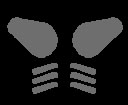 snake_eyes_face.jpg