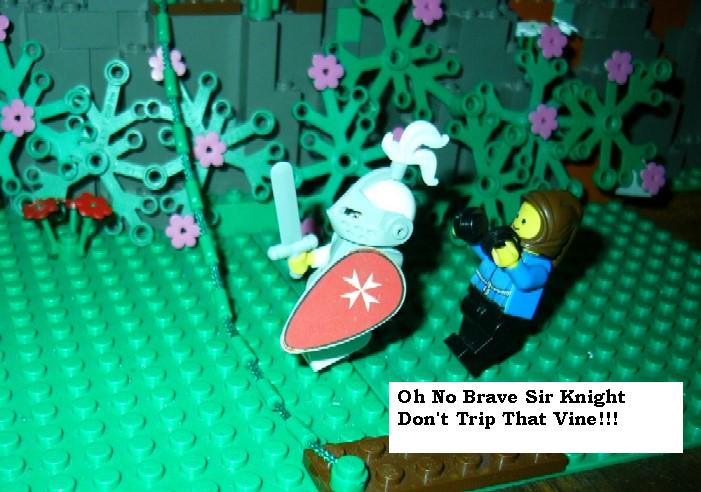 brave_sir_knight.jpg
