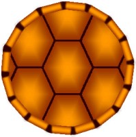 shell.jpg