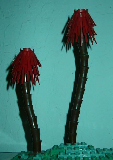 truffala_trees.jpg