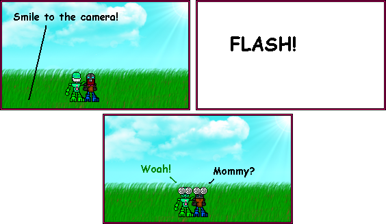 flash.png